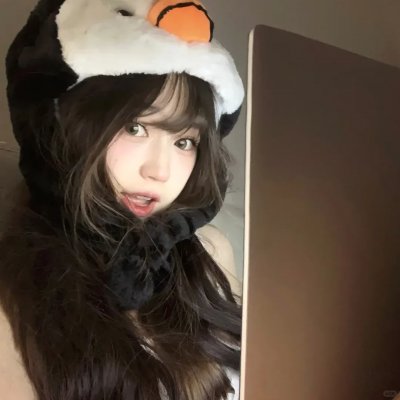乌龟也会飞